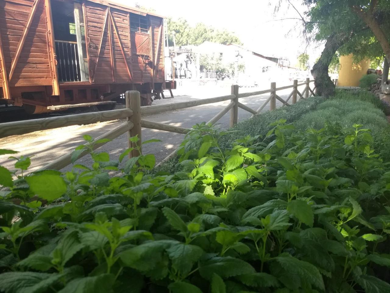 Hostal Nicol'S Hotel Luque Buitenkant foto